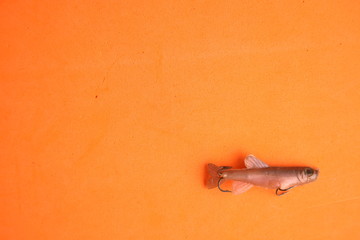fish-shaped fishing lure on color background