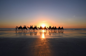 Glowing red sunset behind camel rides for tourists on the beach, Broome, Australia.
