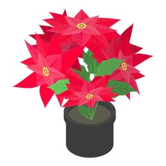 Poinsettia pot icon. Isometric of poinsettia pot vector icon for web design isolated on white background