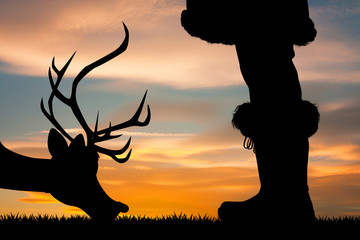 legs of Santa Claus and reindeer close up at sunset