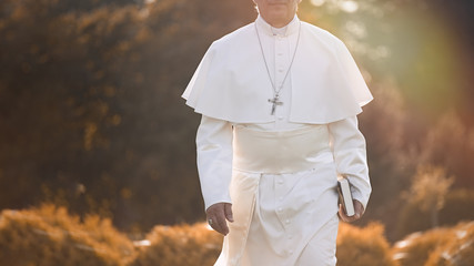 Pope walks at the end of the day in the garden        