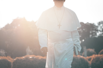 Pope walks at the end of the day in the garden        