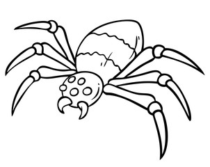 Cartoon graphic black and white angry halloween spider with canines. Isolated on white background. Vector icon.