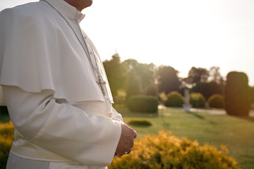 Pope walks at the end of the day in the garden     