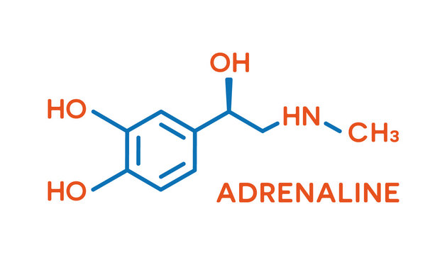 Adrenaline hormone molecular formula. Human body hormones symbol