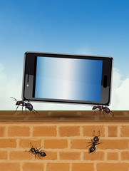 ants carry a cellphone