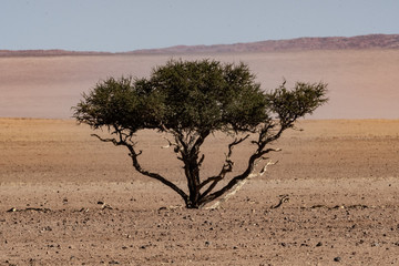 Obraz premium BEAUTIFUL LANDSCAPES OF NAMIBIA IN AFRICA