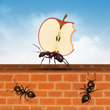 ant with apple