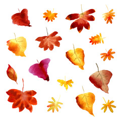 Set of watercolor fall leaves. Collection of natural hand drawn elements