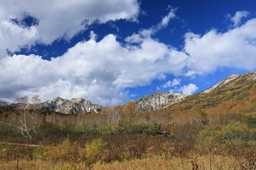 山
