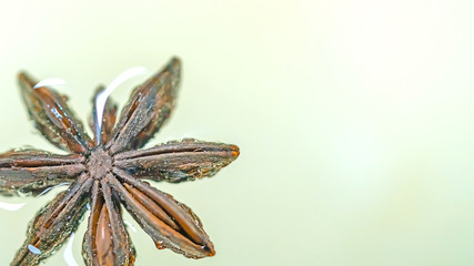 Close up Star anise fruit with seed