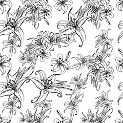  Liliya flower  white and black background. Vector vintage pattern. Vector illustration bright design.