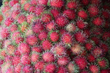 Rambutan
