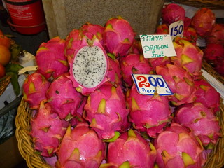 Pitaya Dragon