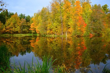 autumn landscape with lake and trees