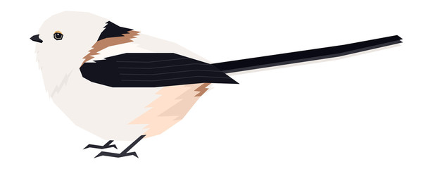 Birds collection A Shima Enaga Vector illustration of long-tailed tit found living on the island Hokkaido, Japan Isolated object