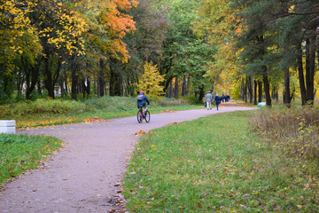 young couple walking in the park