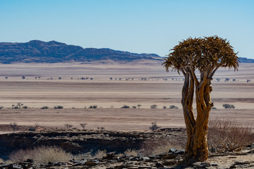 BEAUTIFUL LANDSCAPE IN NAMIBIA AFRICA