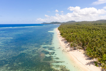 Fototapeta na wymiar Beautiful tropical island with sand beach, palm trees. Aerial view of tropical beach on the island Siargao, Philippines. Tropical landscape: beach with palm trees.