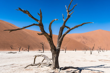BEAUTIFUL LANDSCAPE IN NAMIBIA AFRICA