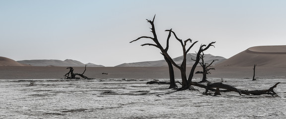 BEAUTIFUL LANDSCAPE IN NAMIBIA AFRICA