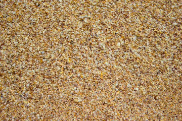 Shore beach water sea wave sand shells, background texture