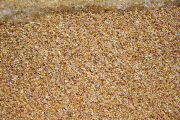 Shore beach water sea wave sand shells, background texture