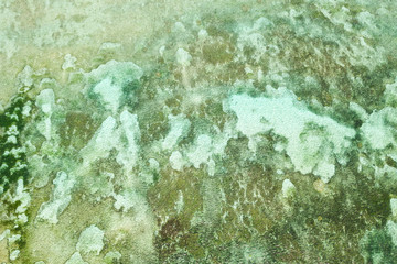 Sea surface over the coral reef. Clear sea water.