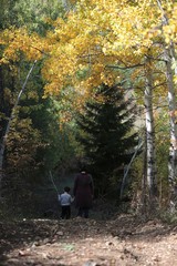 Amazing golden autumn colors in the forest path track.artvin/turkey