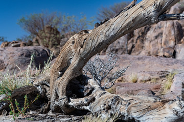 BEAUTIFUL LANDSCAPE IN NAMIBIA AFRICA