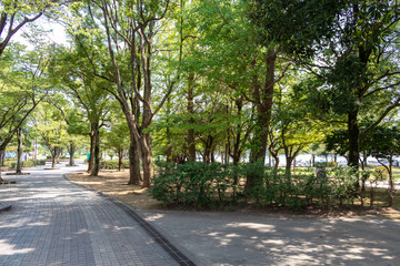 Obraz premium 手賀沼公園