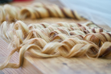 Woman hairdresser making hairstyle in beauty salon