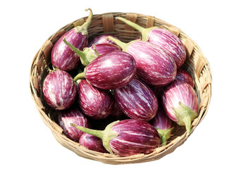 Fresh Indian Brinjals placed in Bamboo basket on a white background