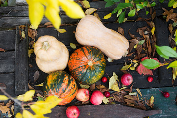 Pumpkin and apples,  autumn leaves on an old wooden background in the autumn garden. Halloween...