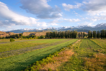 View of the snowy mountains of Kungei Alatau under a cloudy sky with trees and fields in the...