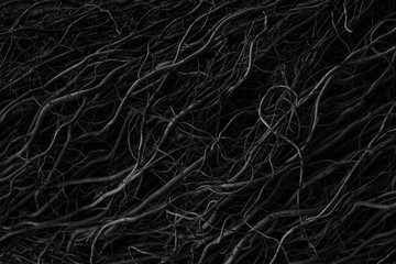 Beautiful black, white and grey texture background. Dark abstract nature background texture of dry...