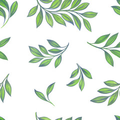 Naklejka na ściany i meble Drawn leaves on a white background.Seamless pattern of green leaves.