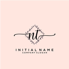 NT Beauty vector initial logo, handwriting logo.