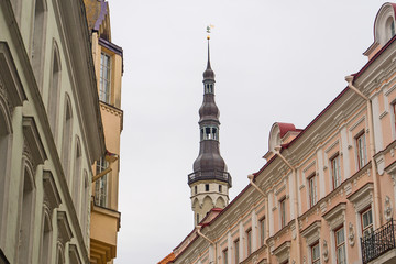 Fototapeta premium View of the town hall building with old Thomas in Tallinn.