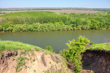 aerial view of green forest and flowing river