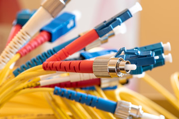 Fiber optic patch cord with connectors close-up