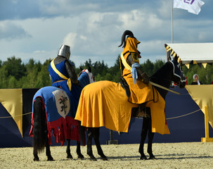 13th-century knights in armor