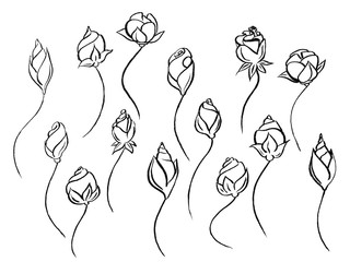 Abstract roses. Graphic elements drawn with ink. Black-and-white graphics for design. Set of hand drawn design elements. Collection of black ink abstract textures.