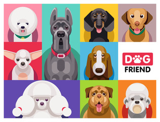 Multi-colored collection of dog faces of different breeds in one set. Illustration of funny cartoon dogs in trendy flat style. 