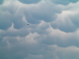 Airplane flying into the mammatus clouds