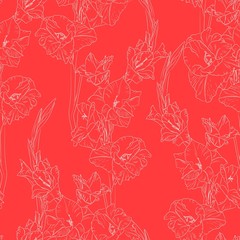 Floral seamless pattern with white line gladiolus on red background. Flower print.