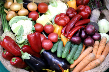 Various freshly picked  harvested vegetables