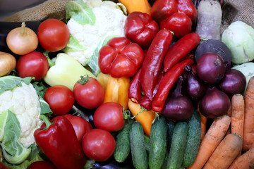 Various freshly picked  harvested vegetables