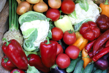 Various freshly picked  harvested vegetables