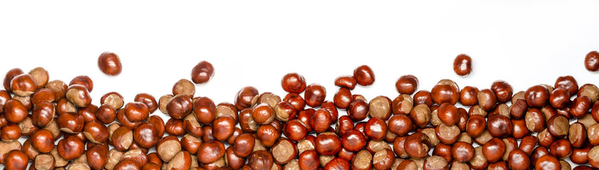 chestnuts as border or panorama, isolated with white background